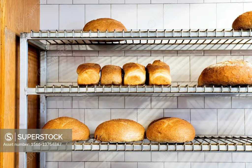 Artisan Freshly Baked Bread Displayed on a Metal Wired Shelving Unit, in an old time bread bakery.