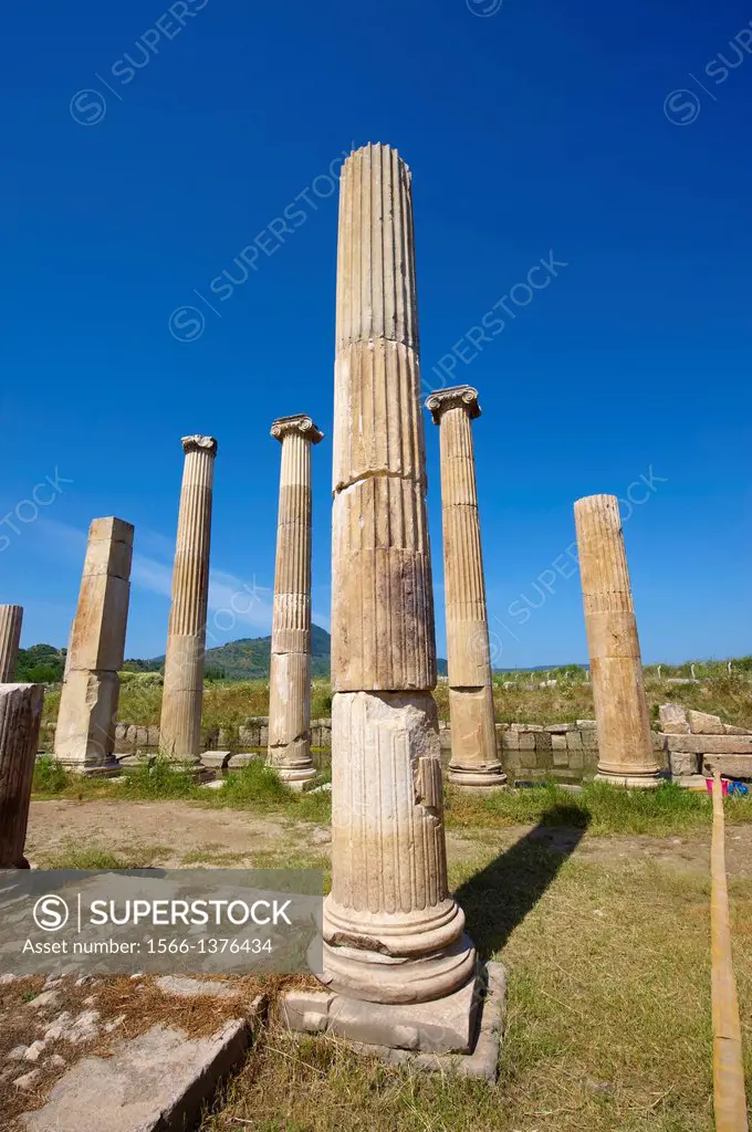 Columns around the sanctuary of Artimis with the Agora, Magnesia on the Meander arcaeological site, Turkey.