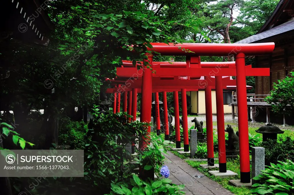 Red Torii is the entrance to the shirine at Senshu park in Akita.