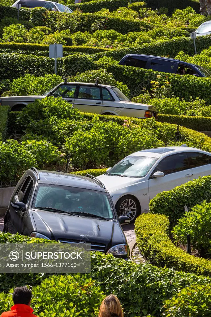 Cars driving down Lombard Street in San Francisco, California, USA