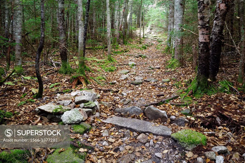 Mt Tecumseh Trail in the White Mountains, New Hampshire USA.
