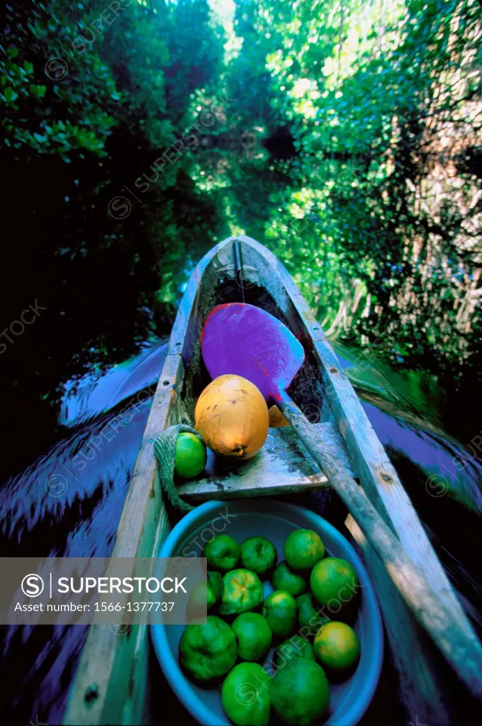 Outrigger Canoe Kosrae Micronesia