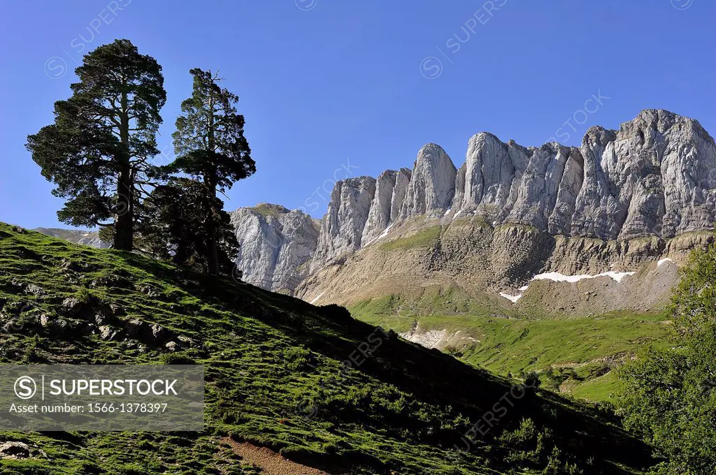 Sierra de Alano, Anso Valley, Aragonese Pyrenees, Huesca province, Aragon, Spain