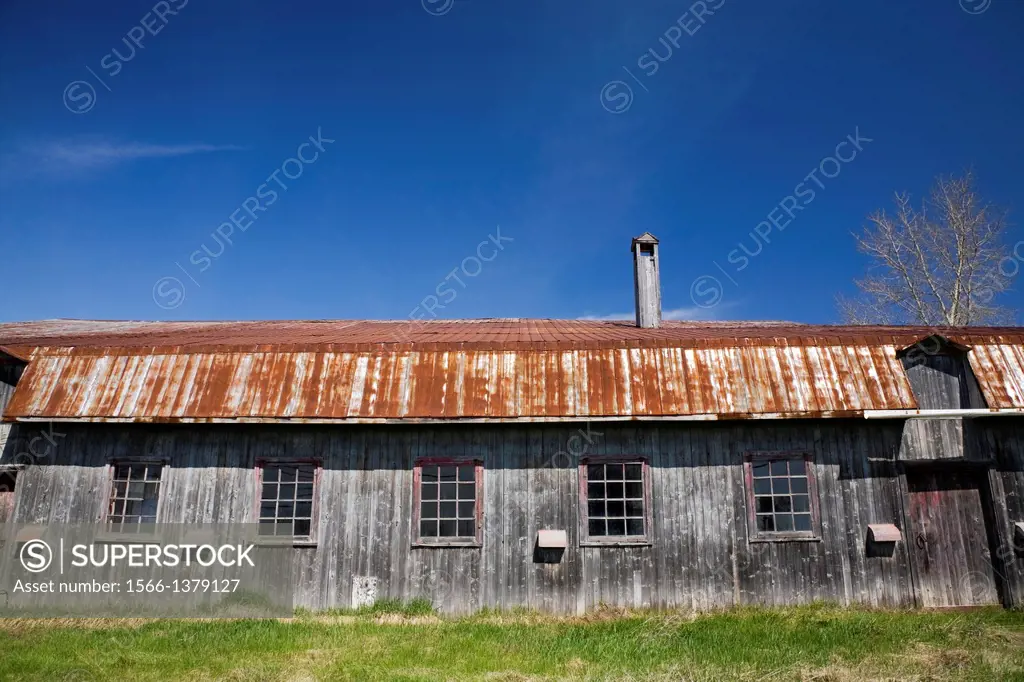 Old wooden barn once used for milking dairy cows, Laval, Quebec, Canada.