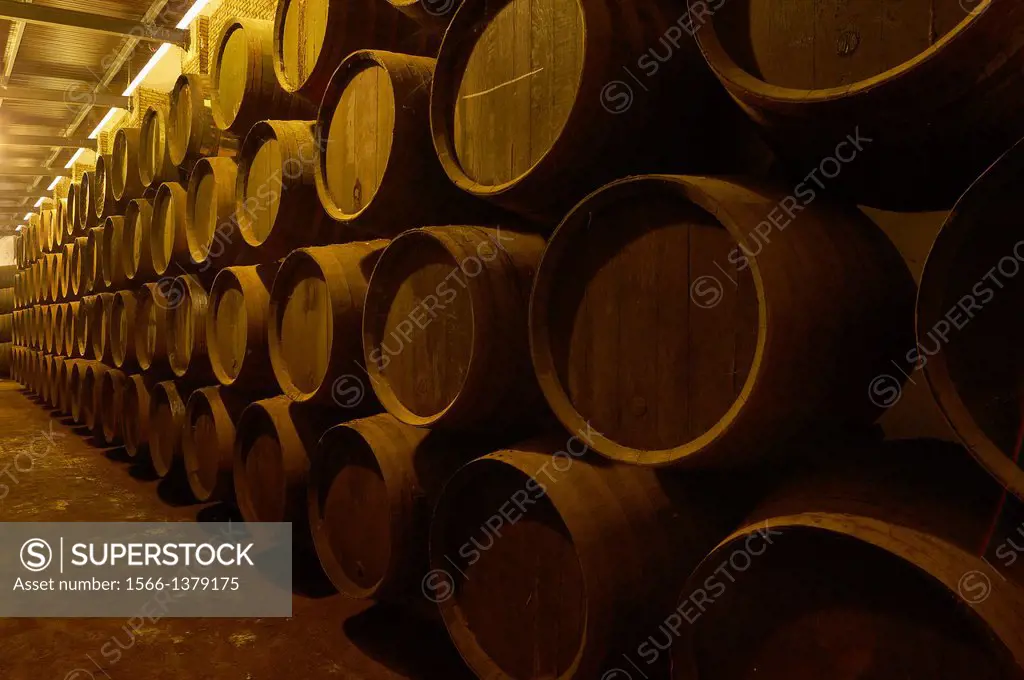 Montilla, Cooperativa la Aurora, Wine Cellar, Montilla-Moriles Wine Route, Cordoba, Andalusia, Spain.