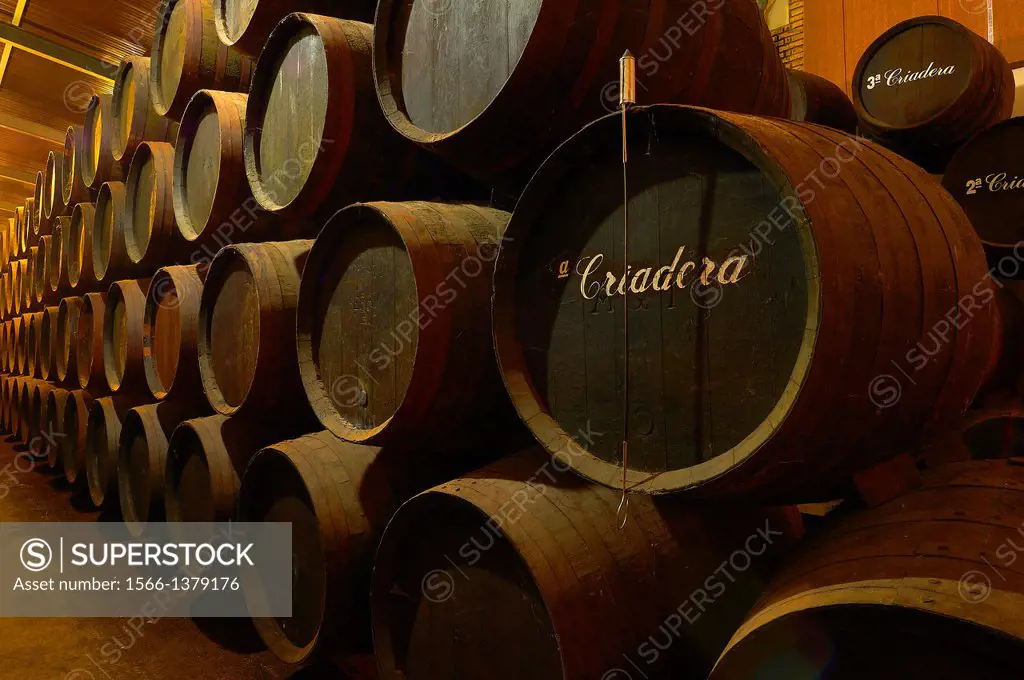 Montilla, Cooperativa la Aurora, Wine Cellar, Montilla-Moriles Wine Route, Cordoba, Andalusia, Spain.