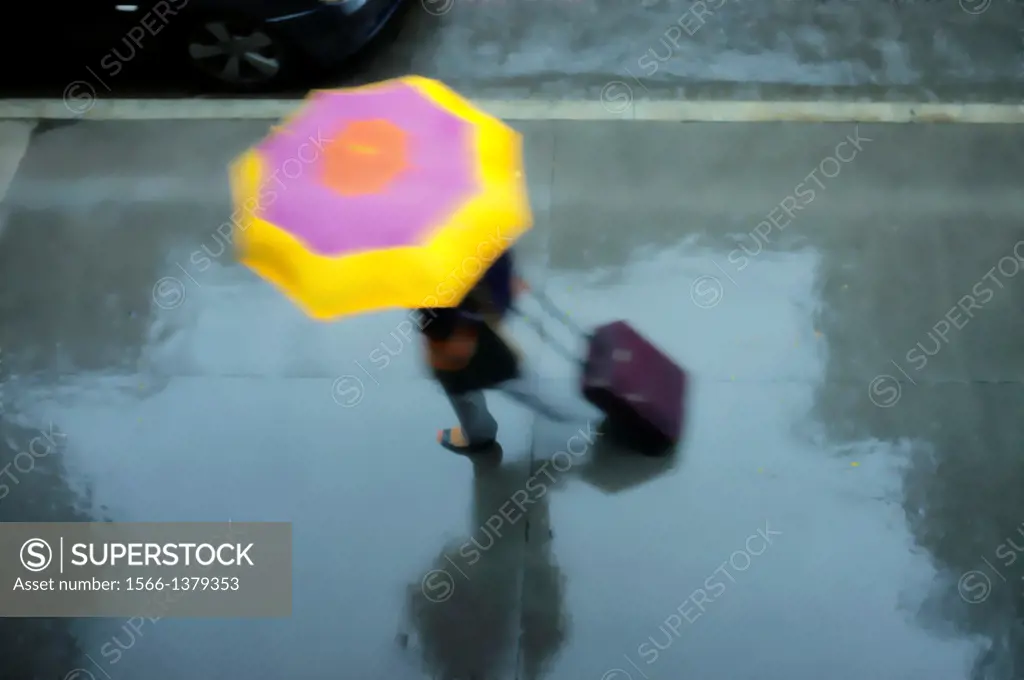Woman Holding a Pink and Yellow Umbrella, Wheeling a Carry-on Suitcase, Rushing Down a Rainswept Street, Partial View of a Passing Car on the Top Left...