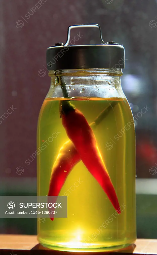 Hot peppers in oil,.