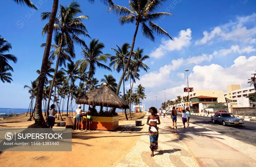 promenade and beach, salvador, bahia, brazil, south america.