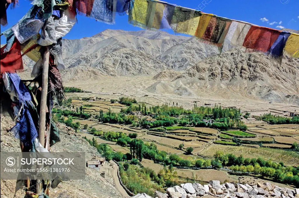 Buddhist prayer flags in the Indus valley, Ladakh, Jammu and Kashmir state, India