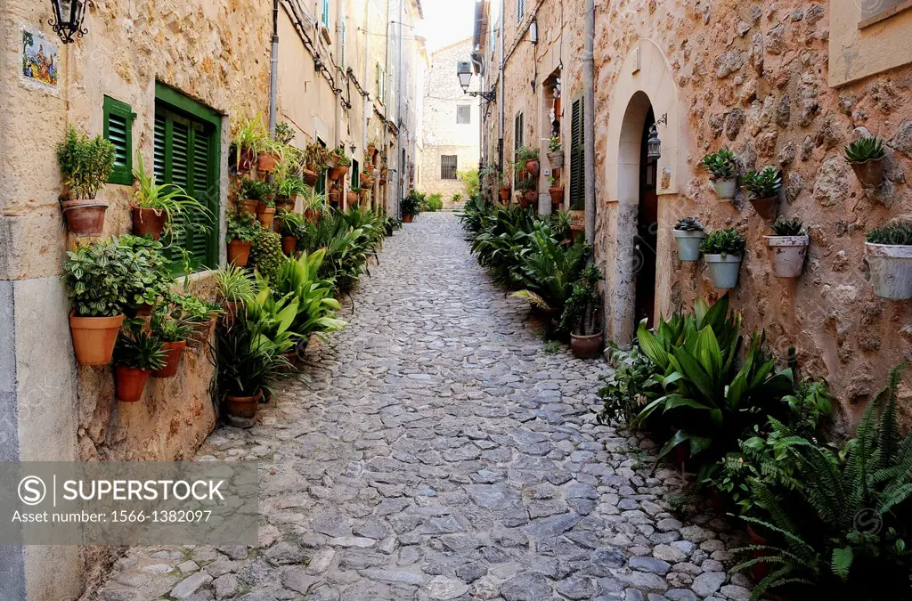 Valldemossa is a town located in the Serra de Tramuntana in the north of Mallorca.