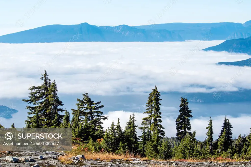view from Mount Stachan near Vancouver, BC, as fog covers Howe Sound.