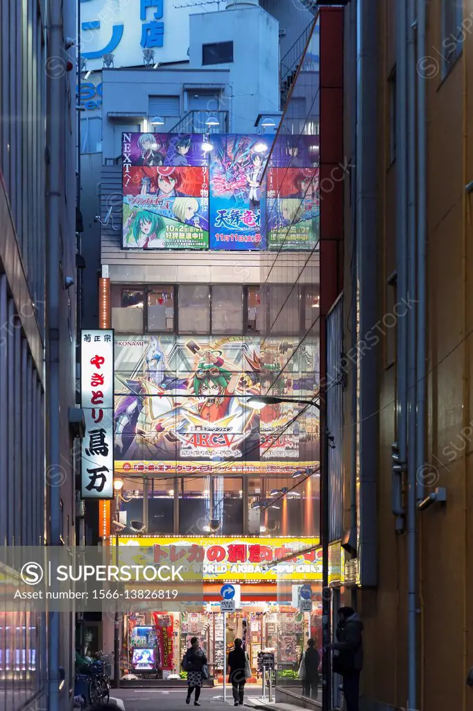 Crowds pass below colorful signs in Akihabara. The well known electronics district specializes in the sales of video games, anime, manga, and computer...