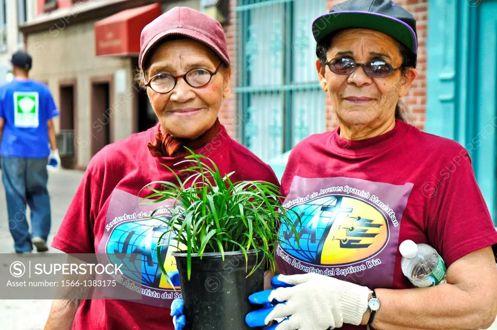 Hispanic community service volunteers of the Harlem Spanish Manhattan Seventh Day Adventist Church plant flowers and landscape an East Harlem neighbor...