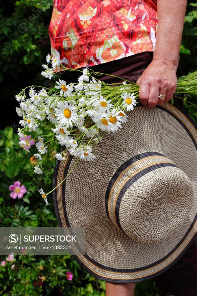 A senior woman carrying a wide brimmed hat and a bouquet of daisies in the garden