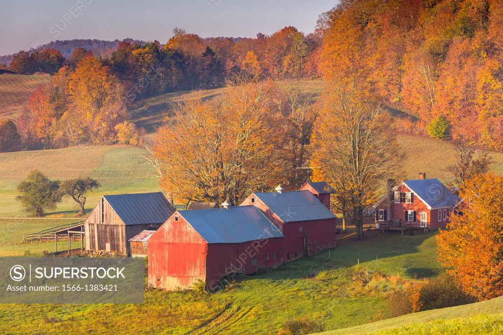 The beautiful Jenne Farm in the early morning, Vermont, USA