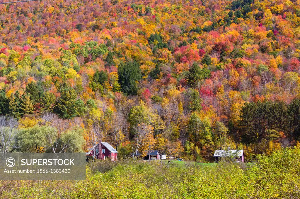 Colorful trees and houses in the Indian Summer, Vermont, USA