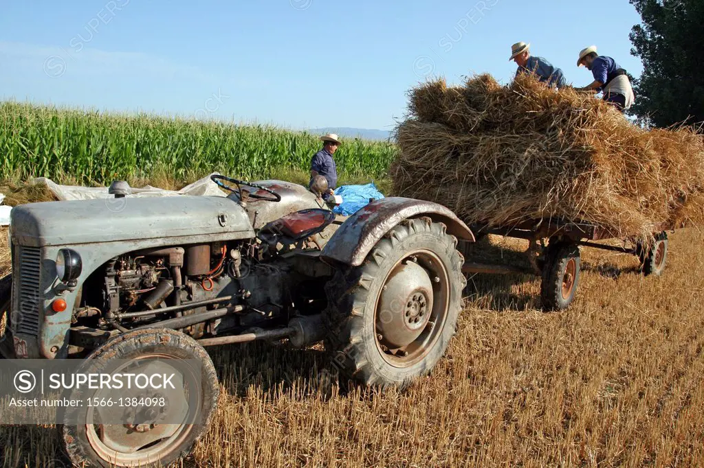 Tractor, traditional grain harvest collection, La Fuliola, Urgell, Catalonia, Spain