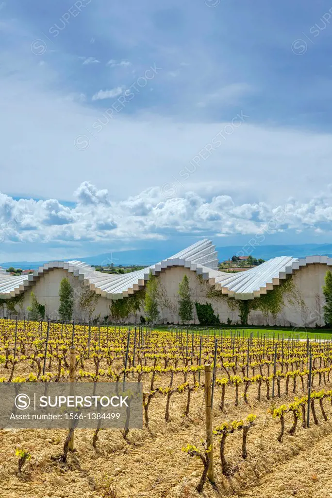Ysios Winery designed by Santiago Calatrava after last flooding renovation. LaGuardia, Rioja Alavesa, Alava, Basque Country, Spain.
