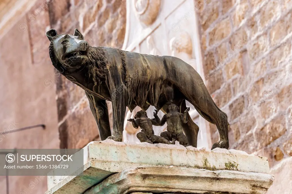 Capitoline Wolf Lupa Capitolina is a wolf character. The wolf is suckle Romulus and Remus, the mythical founders of Rome. The statue is located on the...