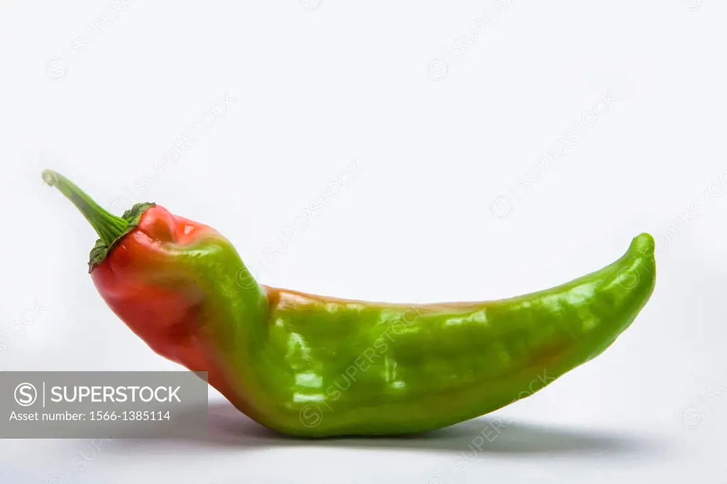 red hot chili pepper isolated on a white background.