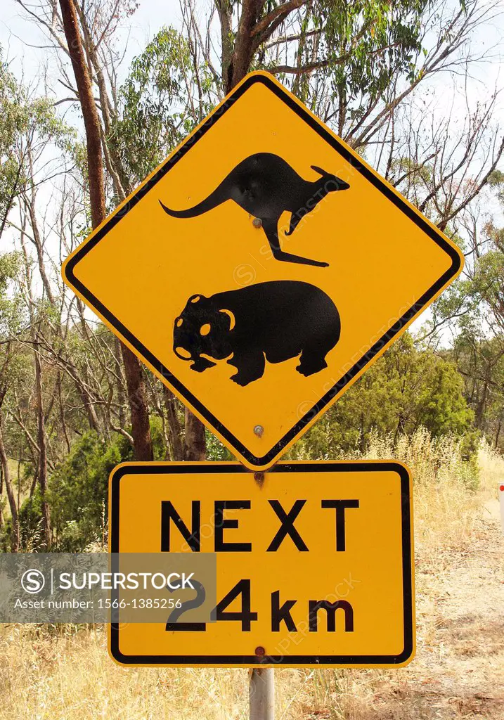 Road sign warning Beware of kangaroos and wombats.