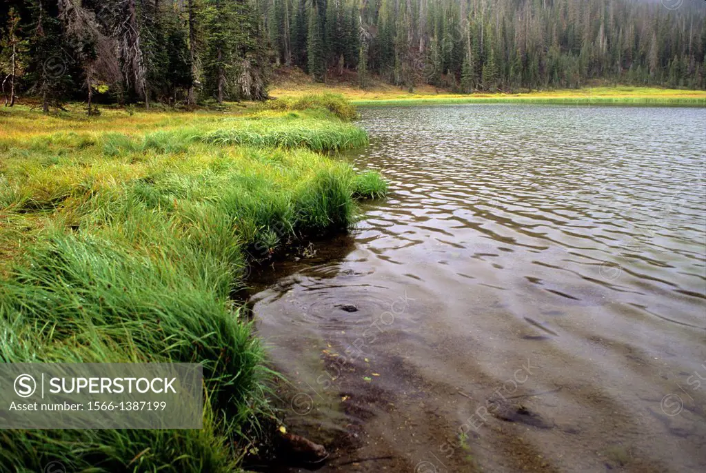 Bonny Lake, Eagle Cap Wilderness, Wallowa-Whitman National Forest, Oregon.