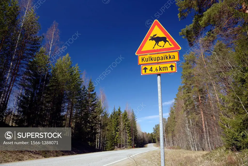 traffic signal: danger by elks in the road, North Karelia, Finland, Europe.