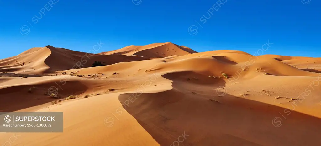 Sahara sand dunes of erg Chebbi, Morocco, Africa.