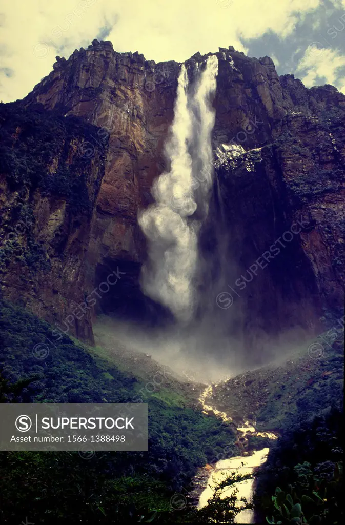 View from below of Angel Falls, the highest waterfall in the world leaping a 1000 meters from the summit of Auyantepuy. Canaima National Park, Bolivar...