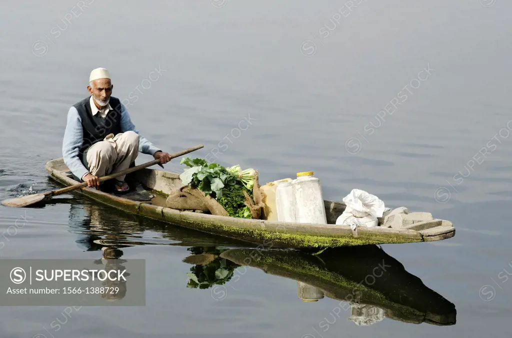 Shikara or house boat in Dal lake, Srinagar, Jammu & Kashmir, India.