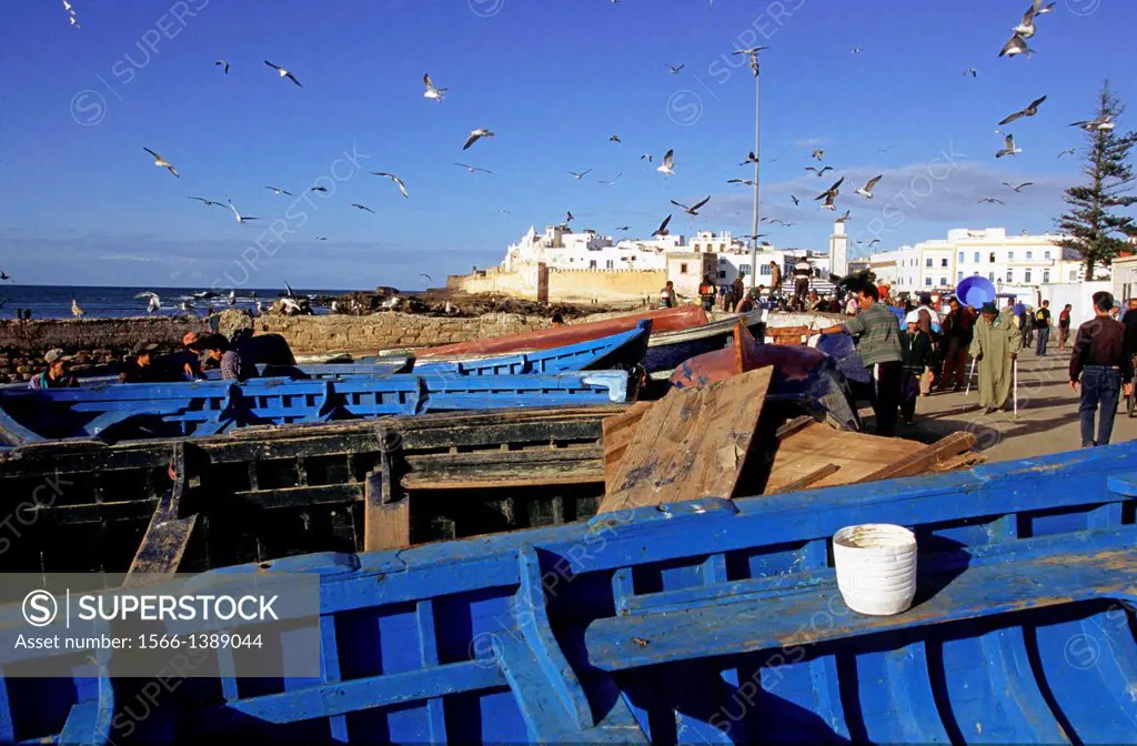 Essaouira, Morocco, North Africa.