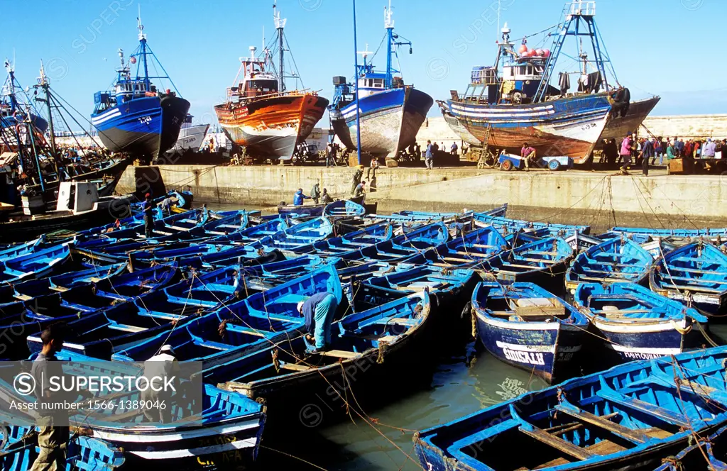 Sardine boats moored in Essaouira harbour, Morocco, North Africa.