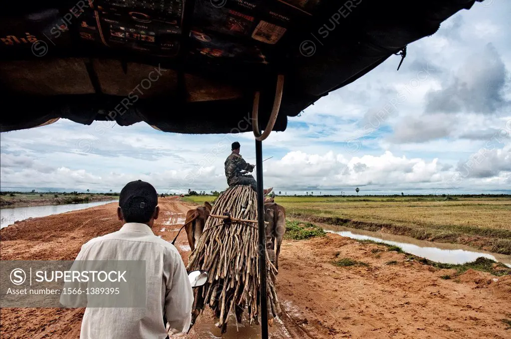 On the road to Kampong Phluk, Siem Reap Province , northern-central Cambodia, Asia