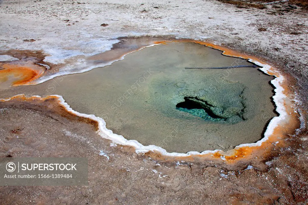 Upper Geyser Basin, Yellowstone National Park, Wyoming/Montana, Idaho, USA.