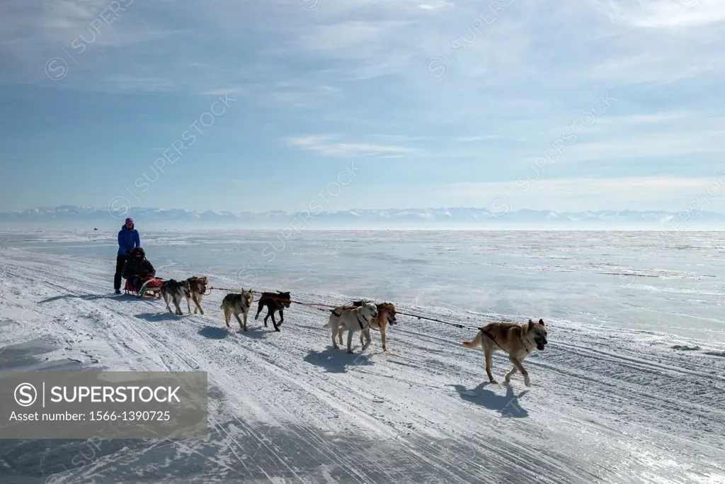 Visitors enjoying dog sledding on the ice in front of the village of Listvyanka, Irkutsk Oblast, Siberia, Russia.