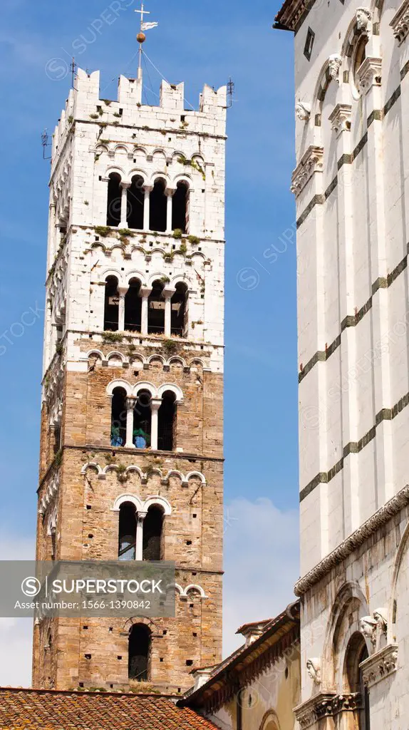 Bell Tower, Duomo di San Martino, The Cathedral of St Martin, Lucca, Tuscany, Italy, Europe.