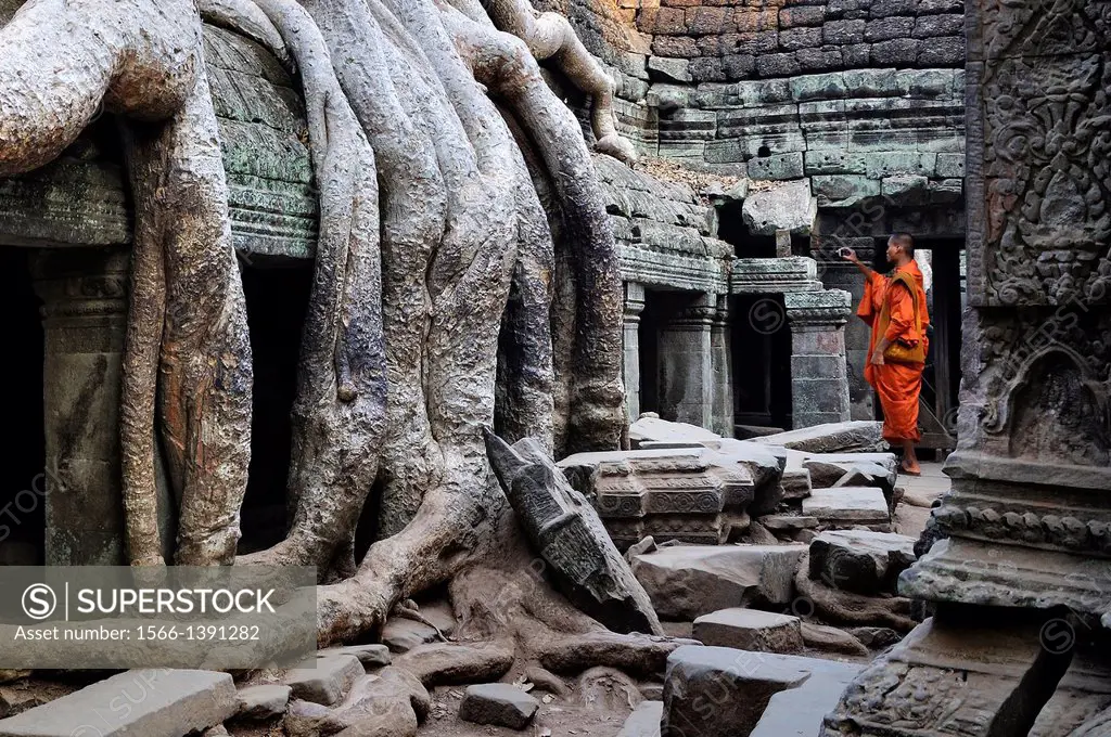 Buddhist monk and giant tree roots over a building at Ta Promh temple, built end of 12th century. Cambodia, Siem Reap, Angkor.
