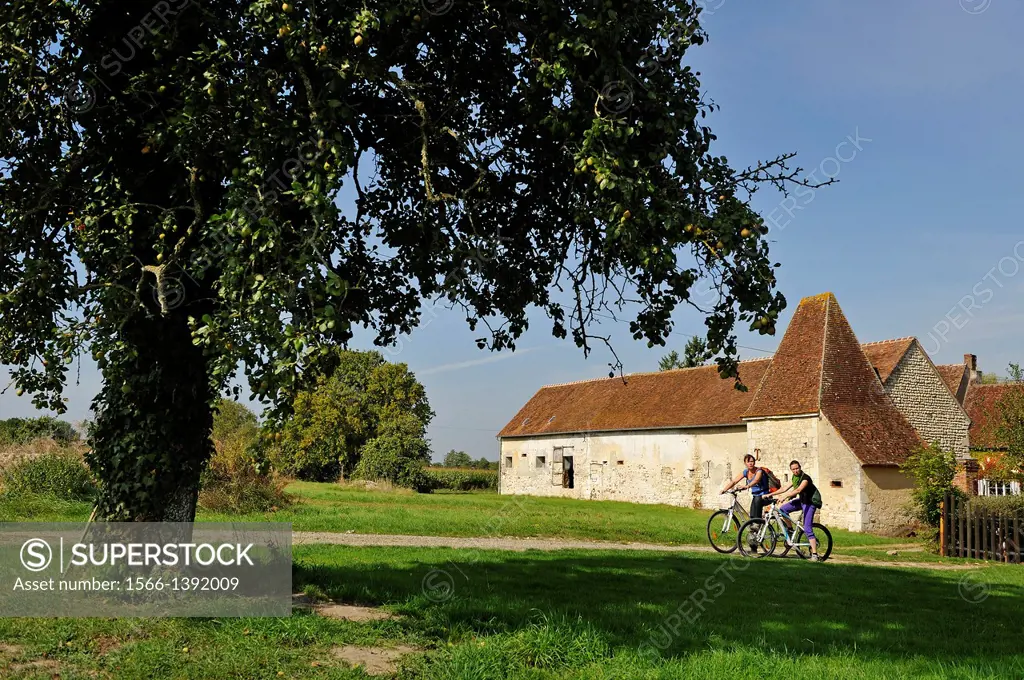 young women cycling around Corbon, Regional Natural Park of Perche, Orne department, Lower Normandy region, France, Western Europe.