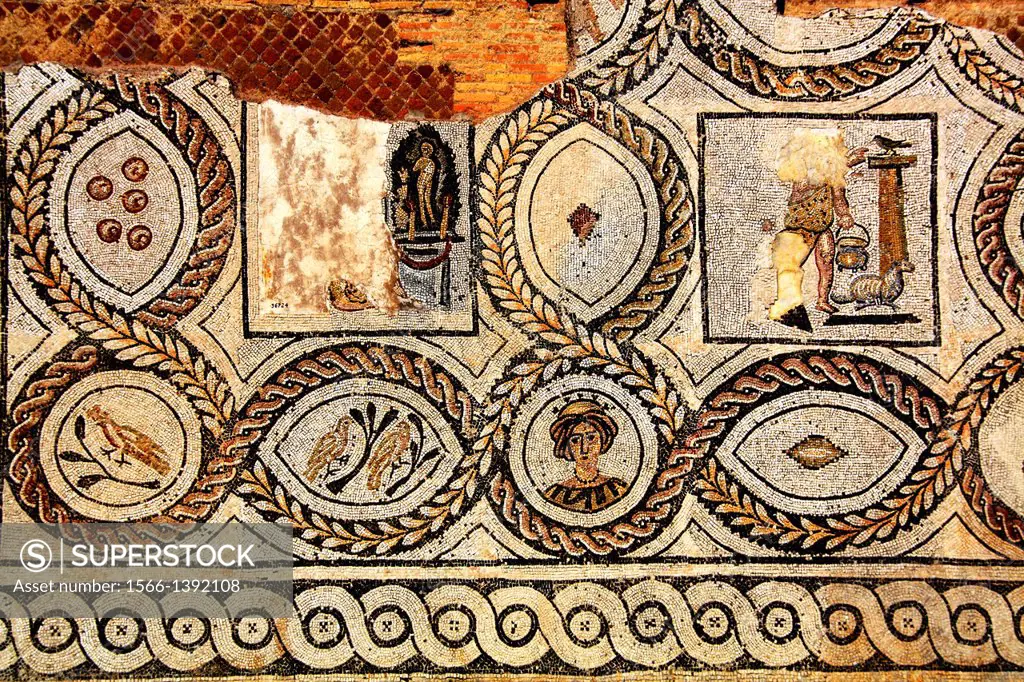 Mosaic, Ostia Antica, near Rome, Lazio, Italy