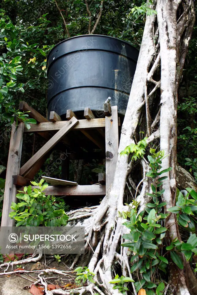 Rainwater in the forest for domestic use, Island Pulau Perhentian Kecil, D´Lagoon, Terengganu, Malaysia.