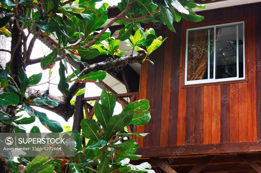Hut in the trees, Island Pulau Perhentian Kecil, D´Lagoon, Terengganu, Malaysia.