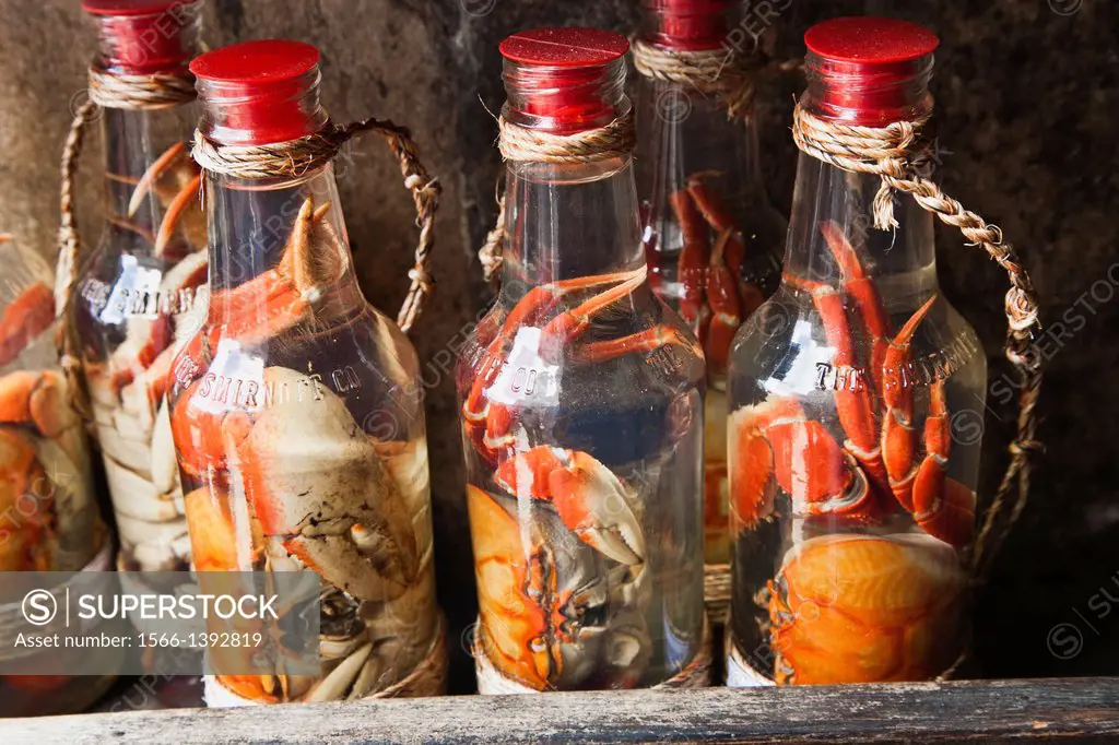Crabs in a bottle, Pelourinho, Salvador, Bahia, Brazil.