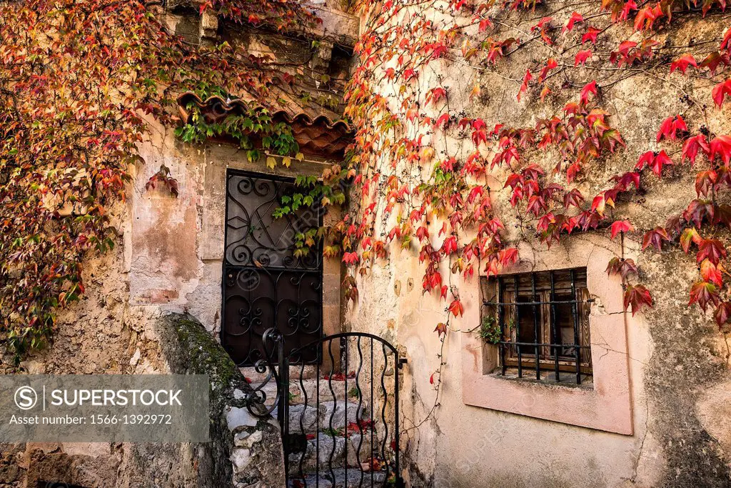 Charming rustic facade and ivy, Eza, Cote d'Azur, France.