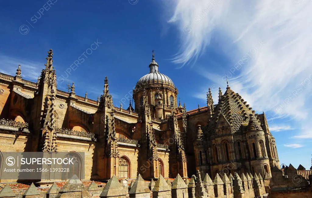 New Cathedral of Salamanca and Torre del Gallo.
