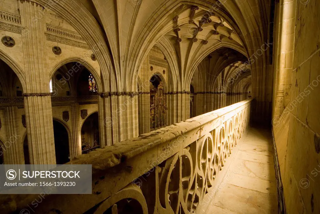 Interior of Cathedral of Santa Maria with rib vaults and view from the triforium, Salamanca, Castilla y Leon, Spain