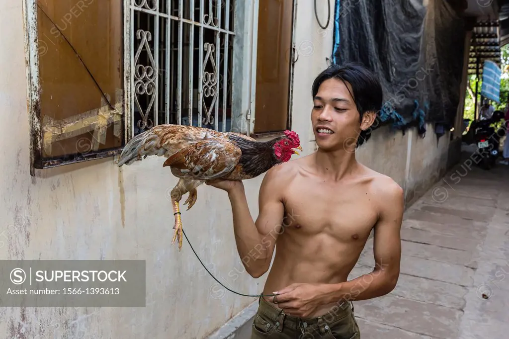 Young man with fighting cock on Binh Thanh Island at Sadec, Mekong River Delta, Vietnam.