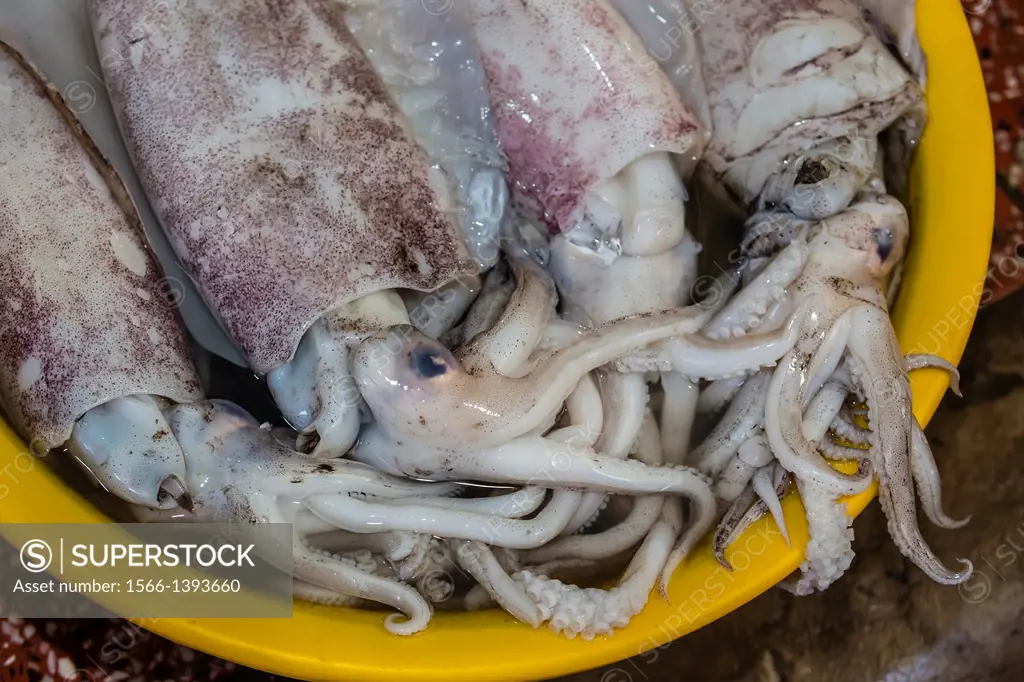 Fresh seafood for sale at market at Chau Doc, Mekong River Delta, Vietnam.