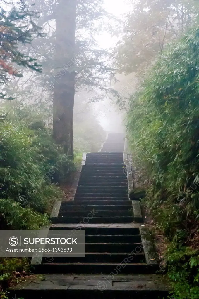 Mist-shrouded hiking trail on the sacred mountain Emei Shan, Sichuan, China.