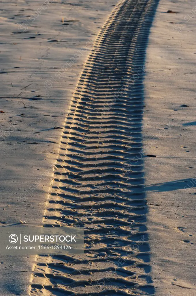 Deep tyre tracks in soft beach sand. Cape Town, South Africa